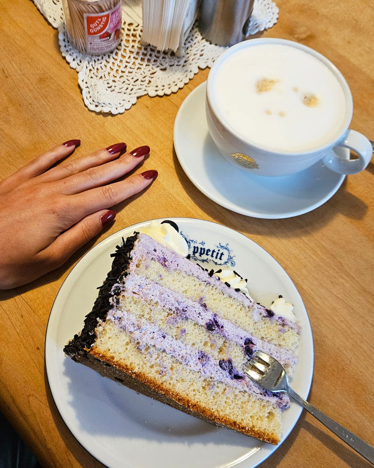 lekkerste gebak in Leer | Taart eten in Leer | taart eten bij Antik Cafe in Stad Leer